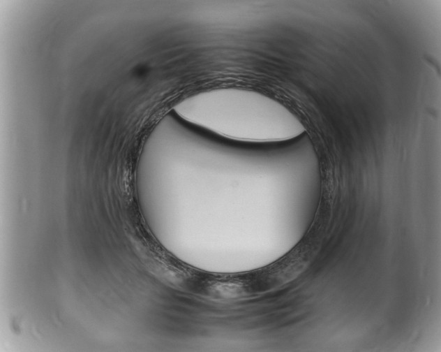 X0000100480653200806130733