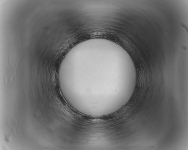 X0000100480654200806130733