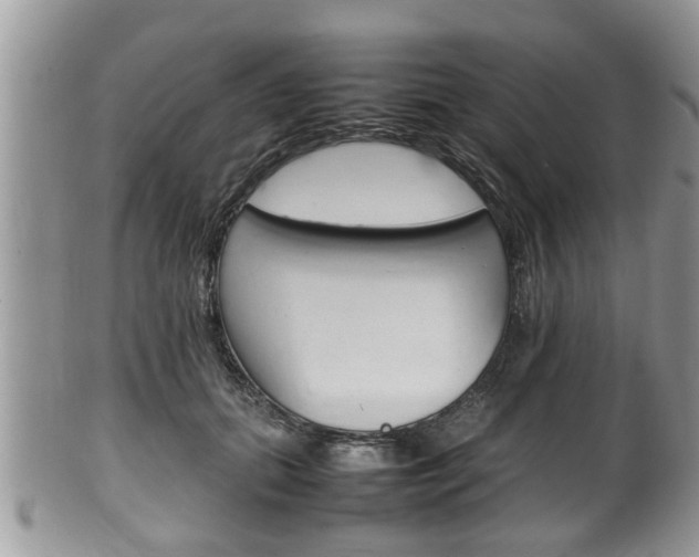 X0000100480655200806130733