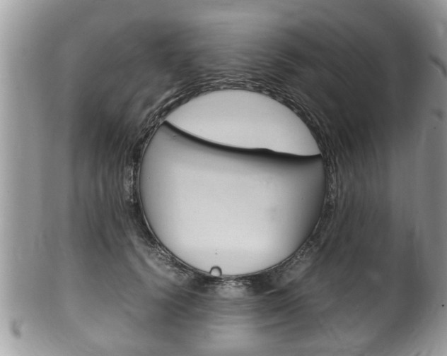 X0000100480656200806130733