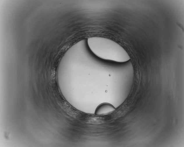X0000100480657200806130733