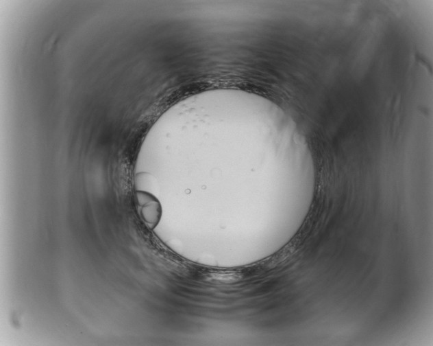 X0000100480659200806130733