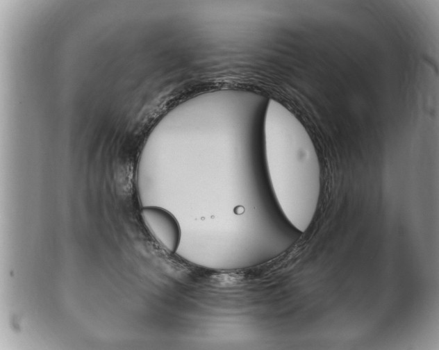 X0000100480660200806130733