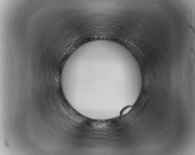 X0000100480661200806130733