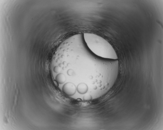 X0000100480662200806130733