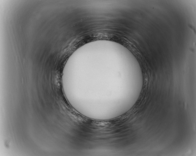 X0000100480663200806130733