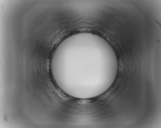 X0000100480664200806130733