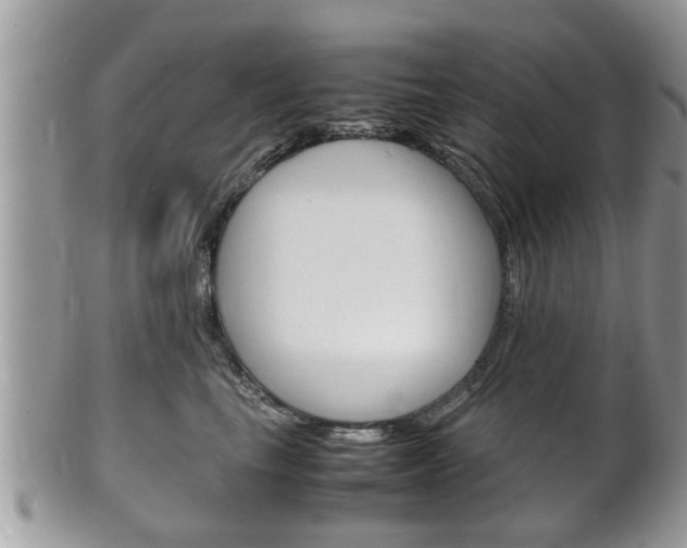 X0000100480665200806130733