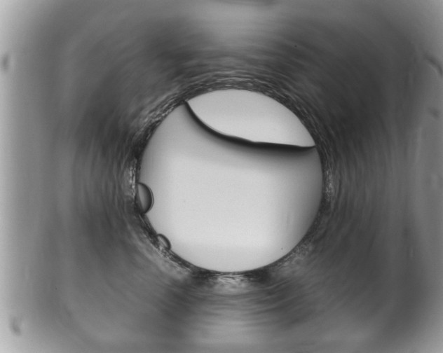 X0000100480666200806130733