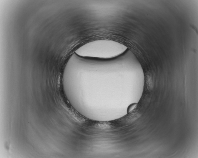 X0000100480668200806130734