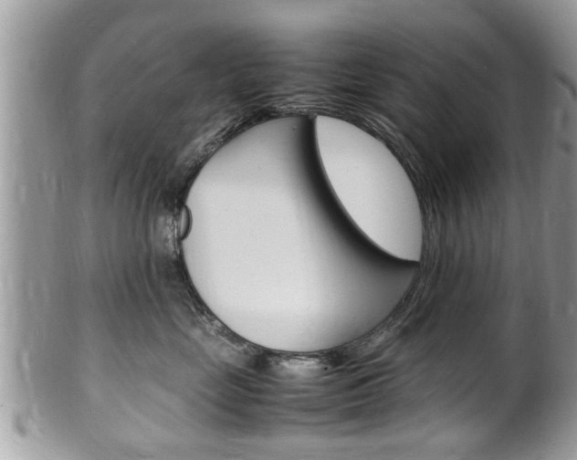 X0000100480669200806130734