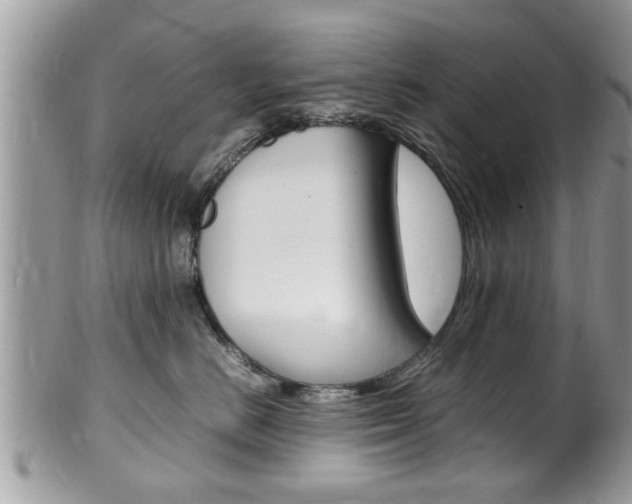 X0000100480670200806130734