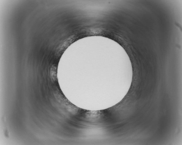 X0000100480672200806130734