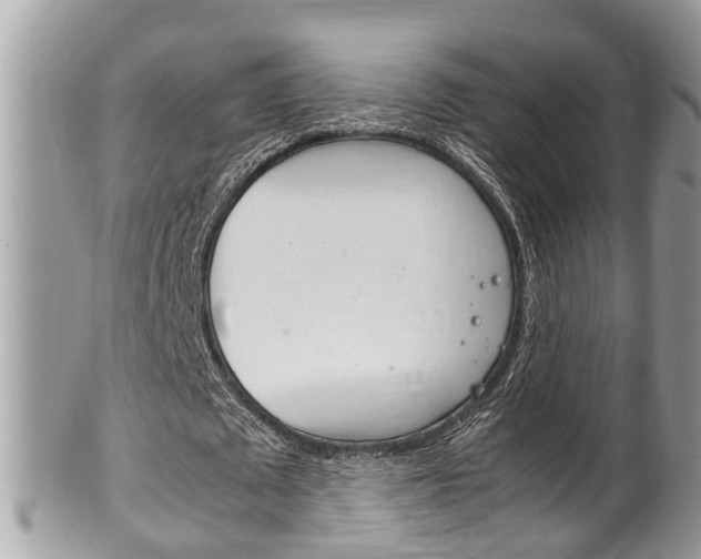 X0000100480673200806130733