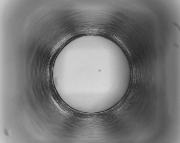 X0000100480674200806130733