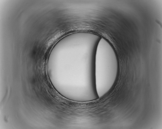 X0000100480675200806130733