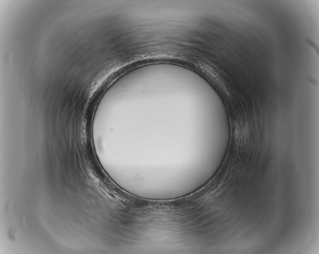 X0000100480676200806130733