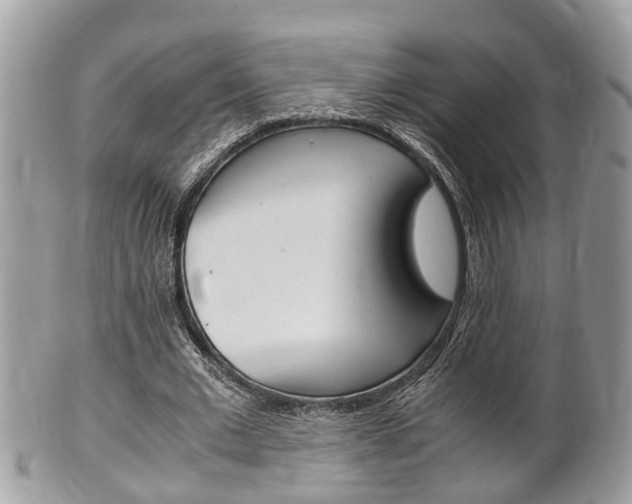 X0000100480677200806130733