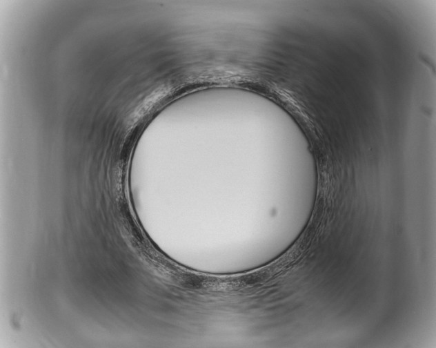 X0000100480679200806130733
