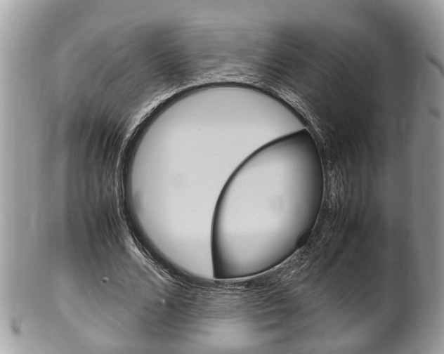 X0000100480680200806130733