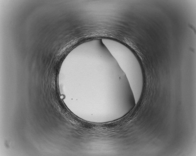 X0000100480681200806130733