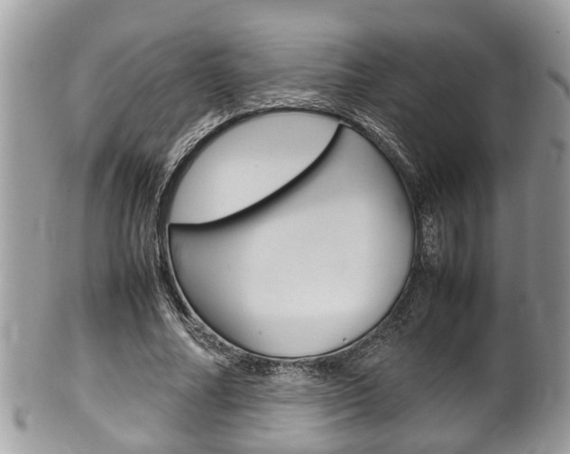 X0000100480682200806130733