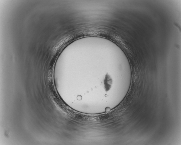 X0000100480683200806130733