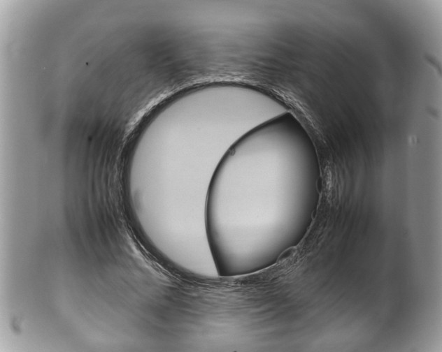 X0000100480684200806130733
