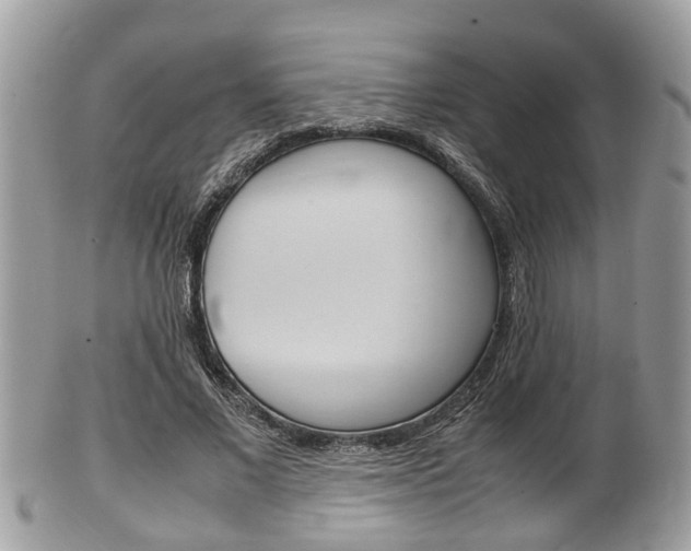 X0000100480685200806130733