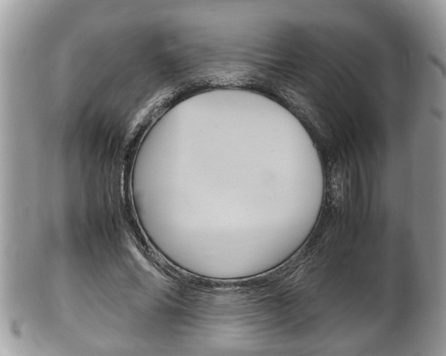 X0000100480686200806130733