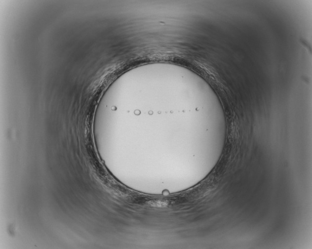 X0000100480687200806130733
