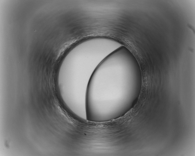 X0000100480688200806130733