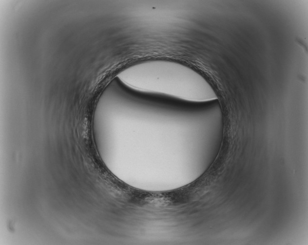 X0000100480689200806130733