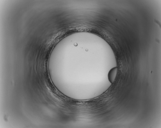 X0000100480690200806130733