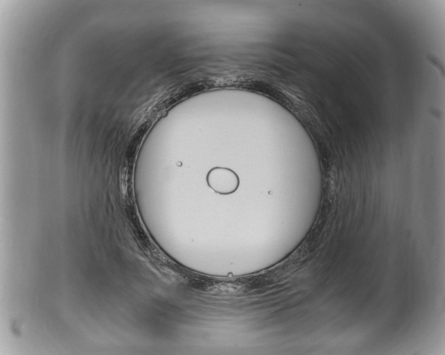 X0000100480691200806130733