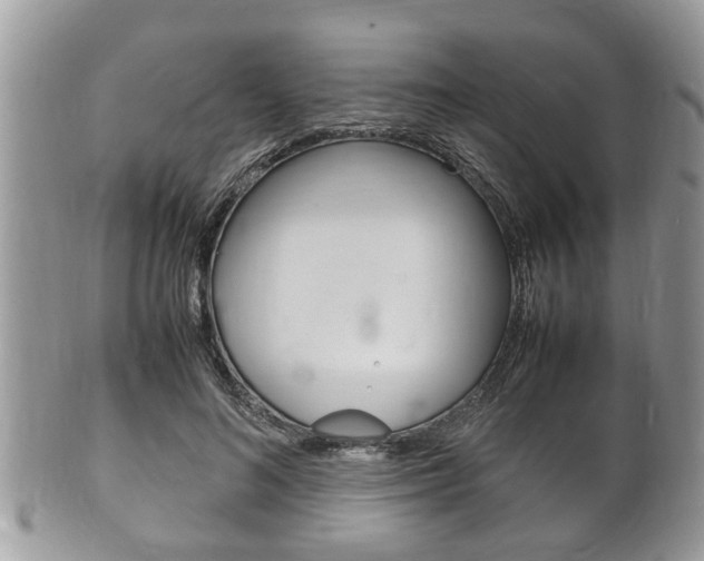 X0000100480692200806130733