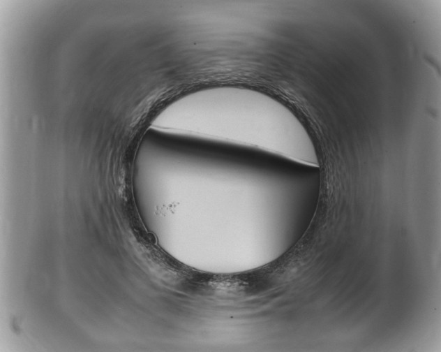 X0000100480693200806130733