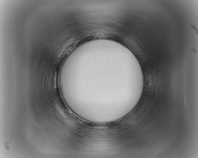 X0000100480694200806130733