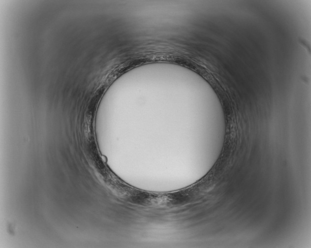 X0000100480695200806130733
