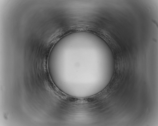 X0000100480696200806130733