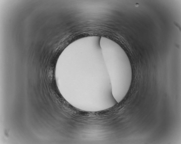 X0000100480697200806130733