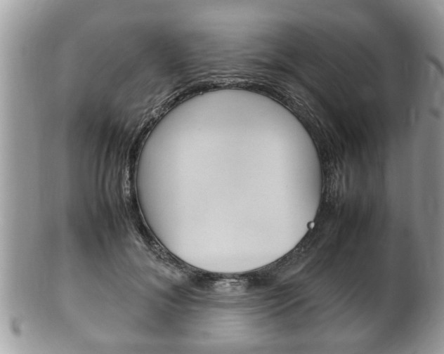 X0000100480700200806130733