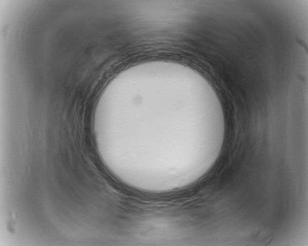 X0000100480701200806130733