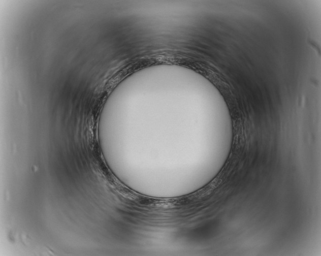 X0000100480702200806130733