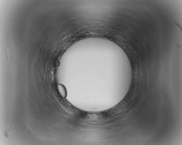 X0000100480703200806130732