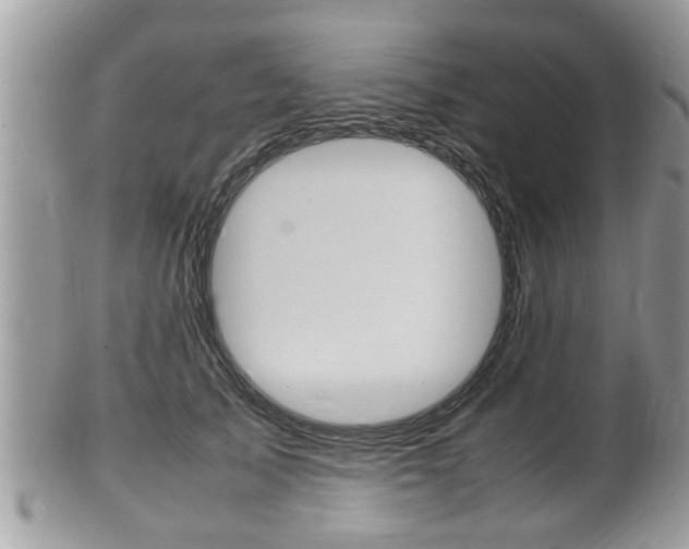 X0000100480705200806130732
