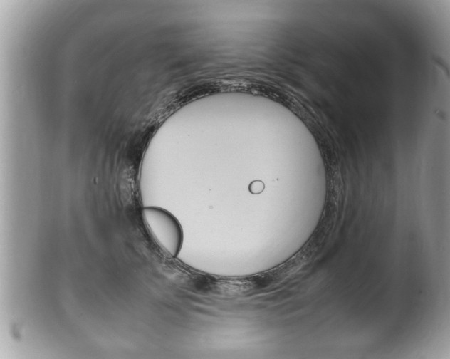 X0000100480707200806130732