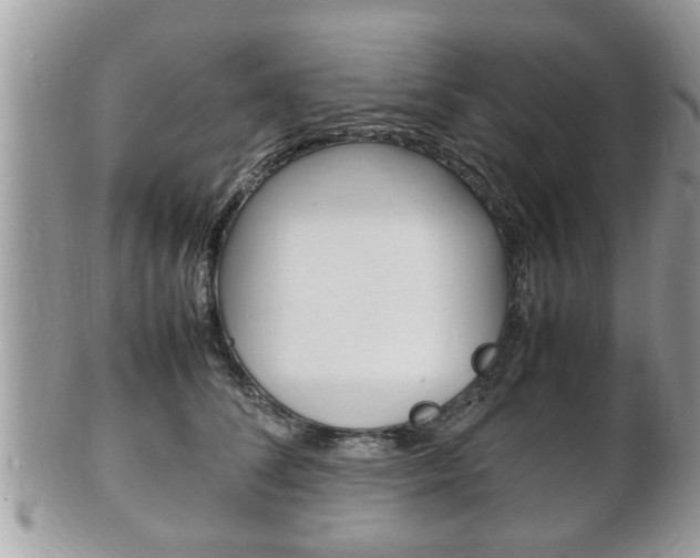 X0000100480708200806130732