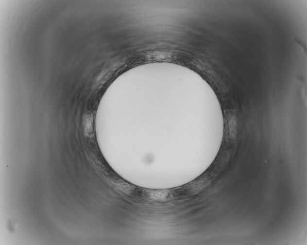 X0000100480709200806130732
