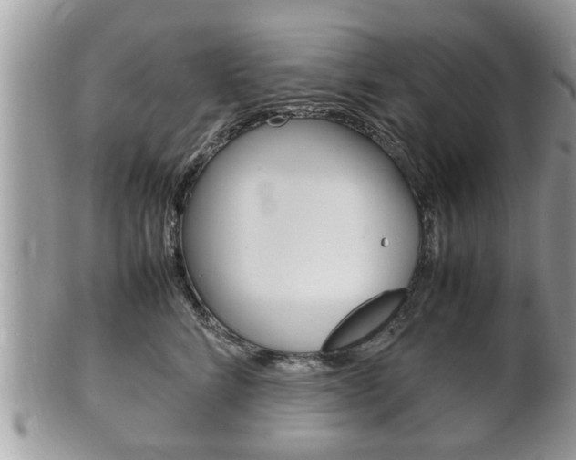 X0000100480712200806130732